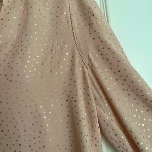 Pale Pink Blouse with Metallic Dots